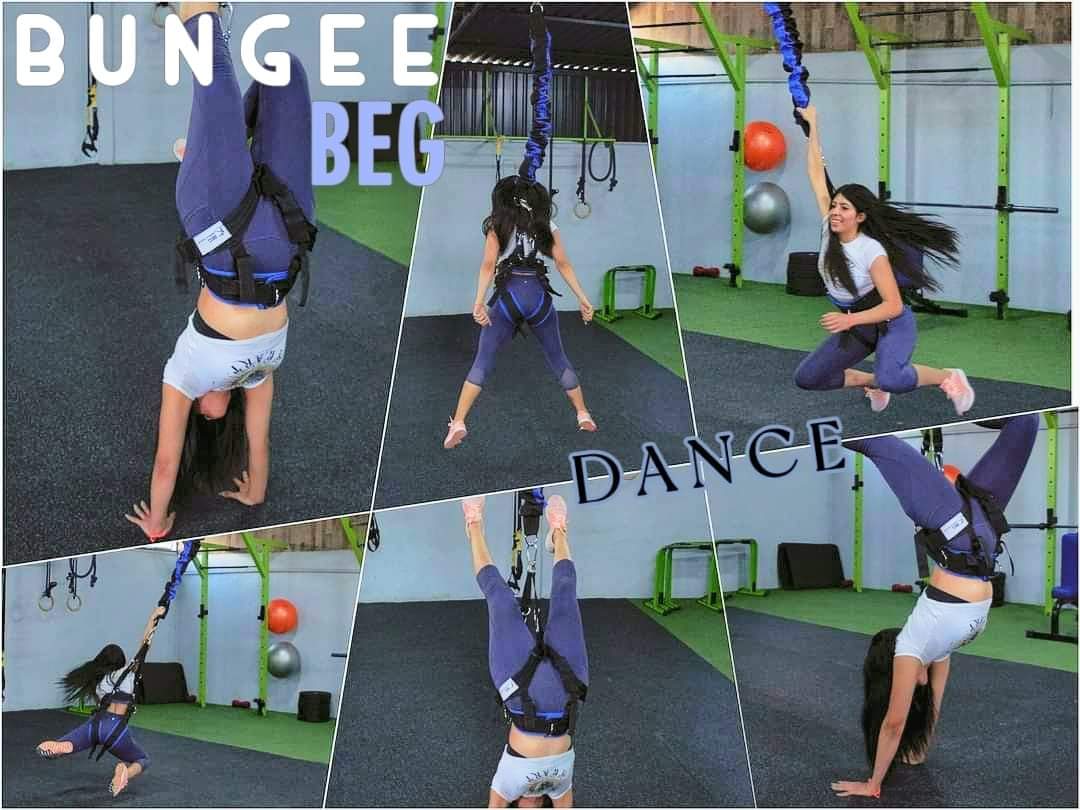 Bungee beg