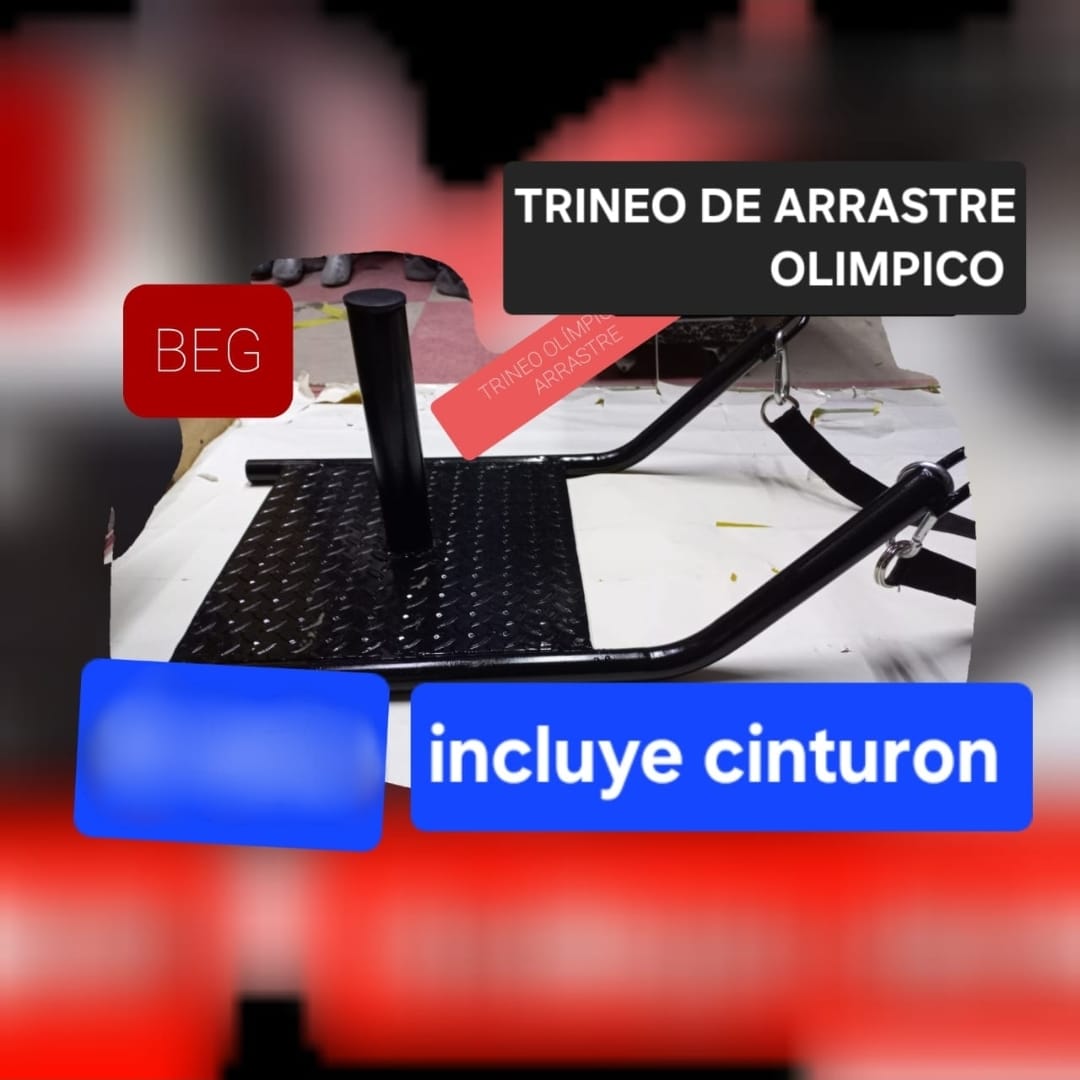 Trineo de arrastre olímpico